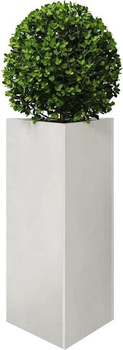 Produktbild vidaXL Pflanzkübel