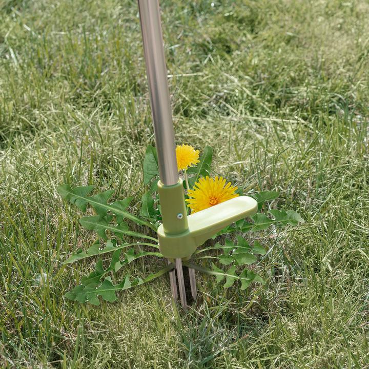 Actual product image Kinzo Weed puller
