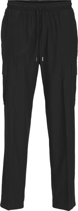 Actual product image Jack & Jones Jpstkarl Jjsummer Cargo Sn Styd (M)