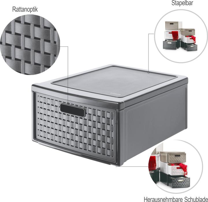 Actual product image Rotho Country (35 x 26 x 14.5 cm)