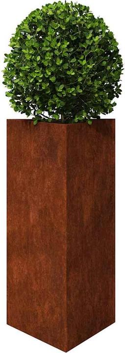 Produktbild vidaXL Gartenpflanzgefäss