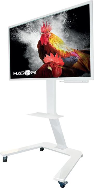 Actual product image Hagor ST SA Flip II (Flip2, 65", 45 kg)
