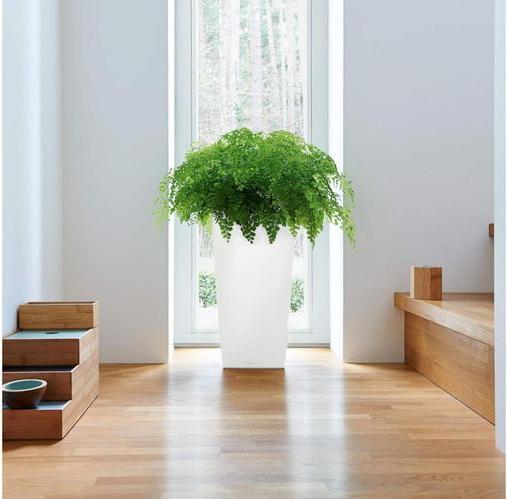 Actual product image Lechuza Planter Cubico Premium 22 Brown (22 cm)