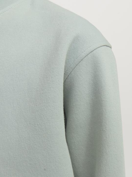 Produktbild Jack & Jones Jorvesterbro Sweat Crew Neck Bn Mni (110)