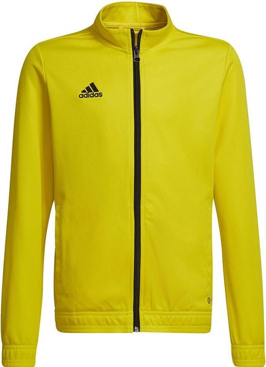 adidas Entrada 22 Trainingsjacke Kinder (152)