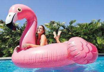 Produktbild Intex Flamingo Ride On