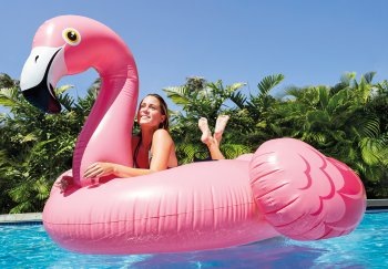 Actual product image Intex Flamingo Ride On