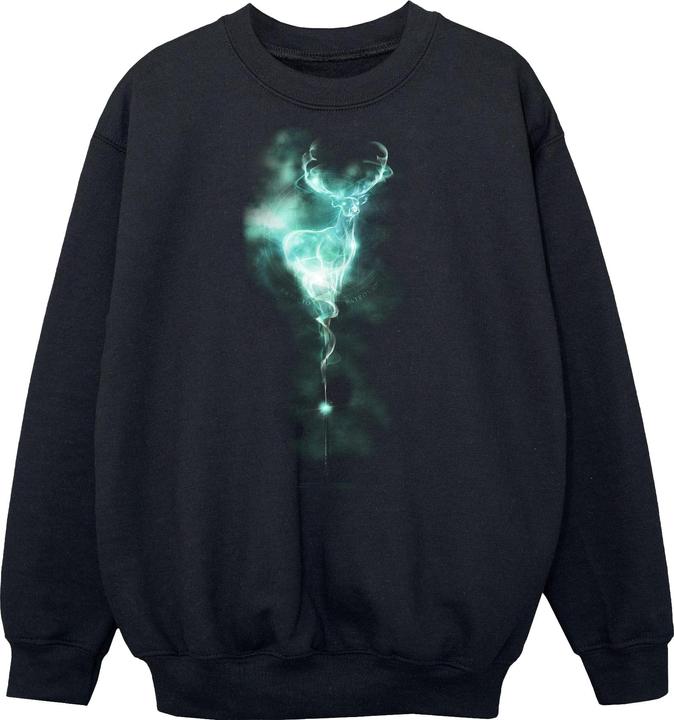 Immagine prodotto Felpa da ragazzo Patronus Mist (128)