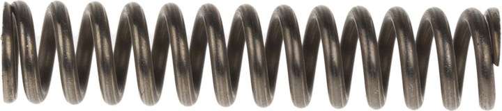 Immagine prodotto Rs Pro Molla compres acciaio armonico 45X9.6