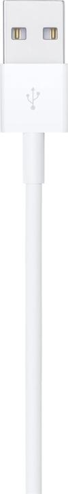 Actual product image Apple USB A – Lightning (1 m, USB 2.0, 12 W)