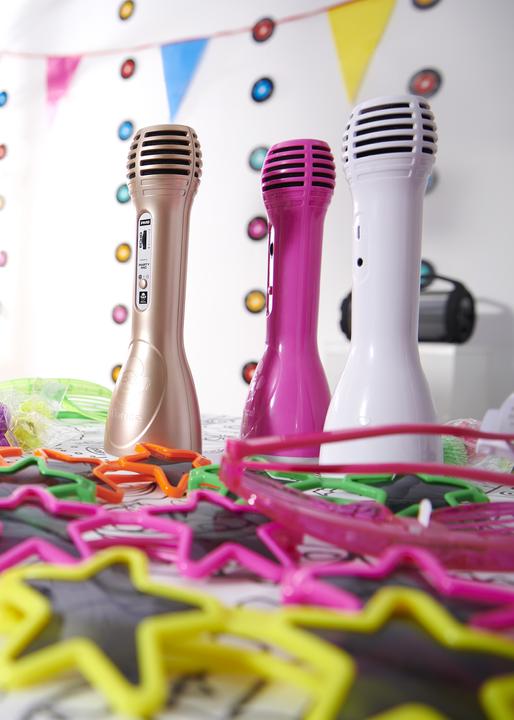 Actual product image Idance Party Mic PM-6