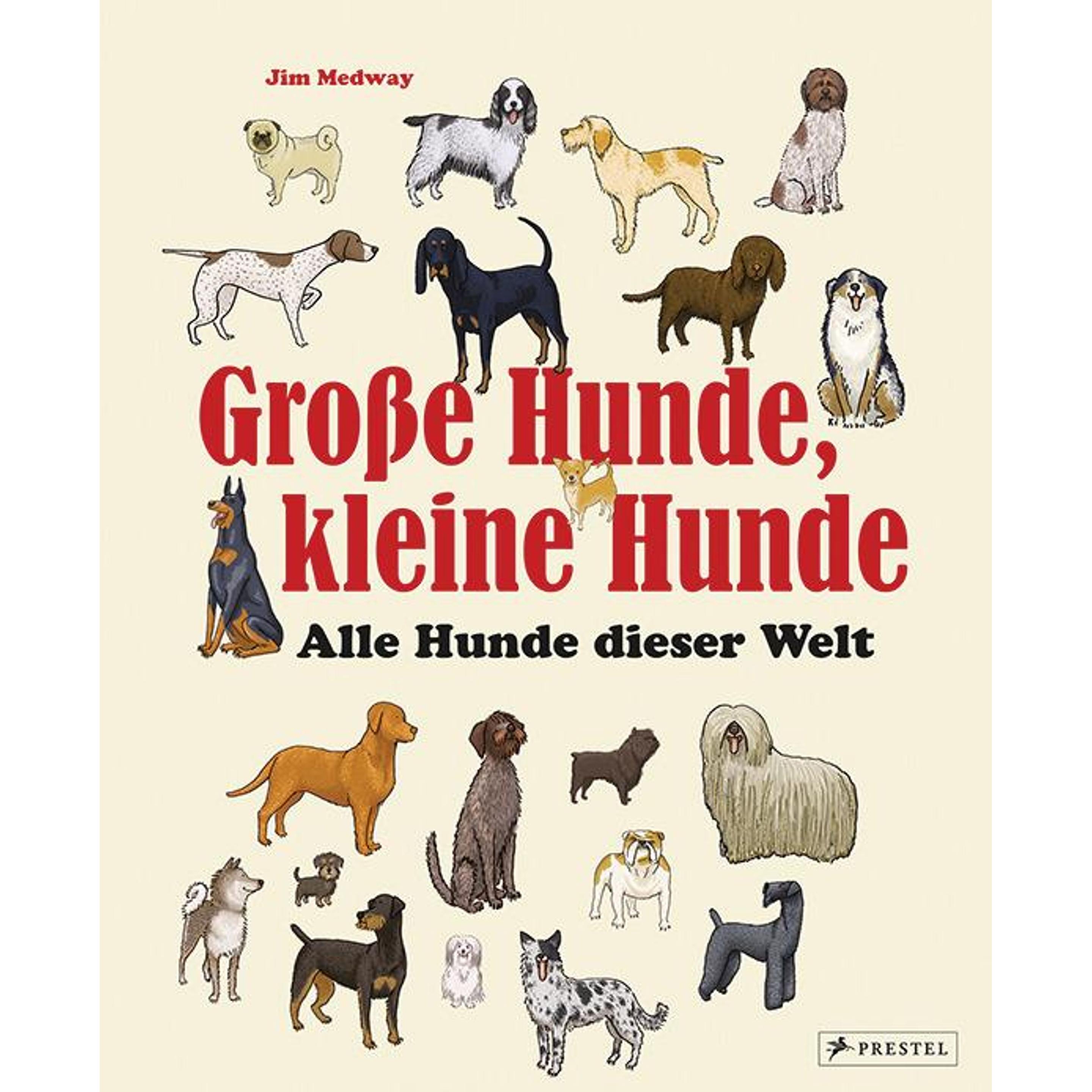 Grosse Hunde, kleine Hunde, Libro per bambini di Jim Medway, Mark Fletcher