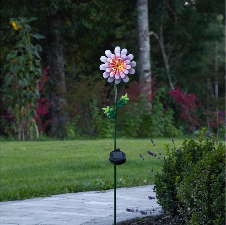 Image du produit Star Trading Décoration solaire Daisy rose (IP44)