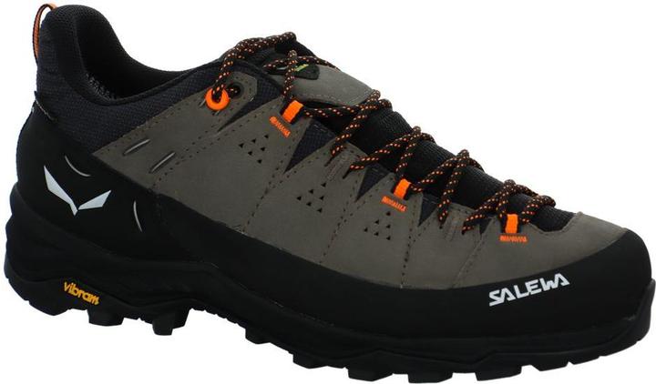 Produktbild Salewa Alp Trainer 2 Gore-Tex® Schuh (42.5)