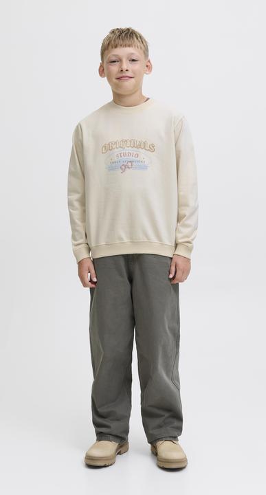 Actual product image Jack & Jones Junior Pullover MEADOWS Sweatshirt (164)