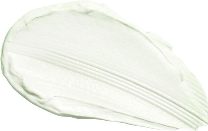 Actual product image Skin1004 Tea-Trica BHA (Cleansing Foam, 125 ml)