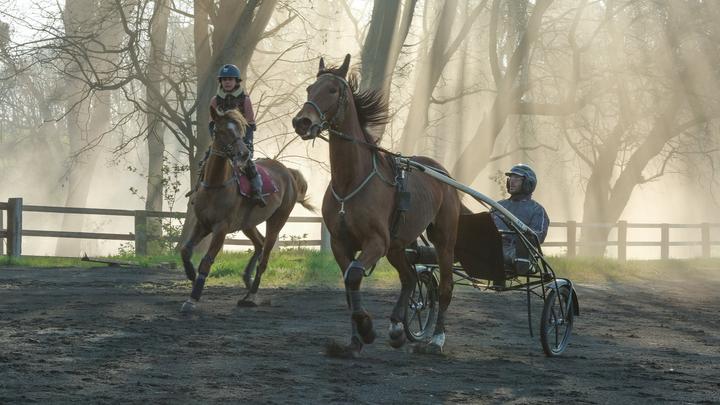 Produktbild Zoe & Sturm (DVD, 2020, Deutsch)