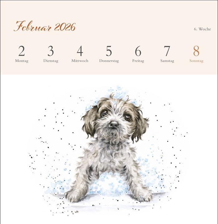 Produktbild Hannah Dale: Happy Animals Premium-Postkartenkalender 2026 (165 x 177 mm, Kein Einband, Deutsch)