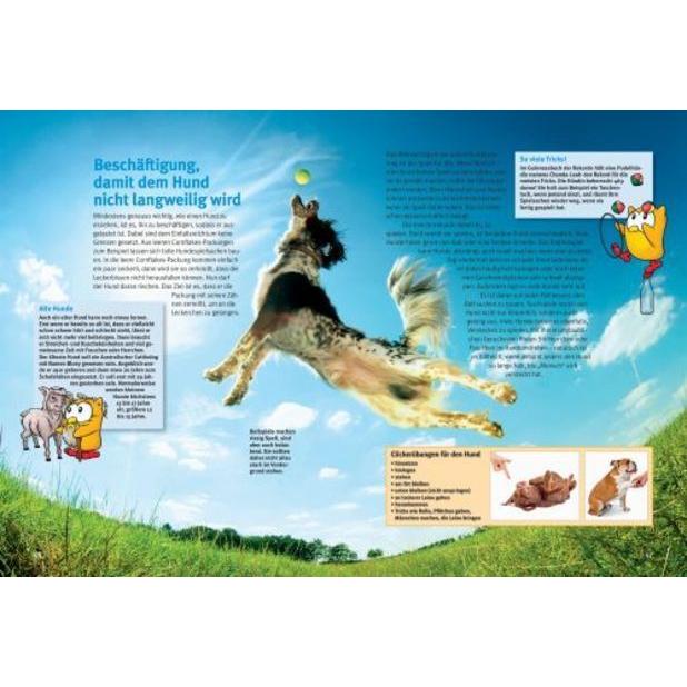 Thumbnail - Entdecke die Hunde, Kinderbücher von Lina Köhler, Katja Krauss