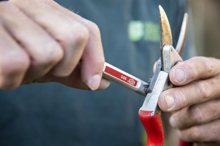 Productafbeelding Felco 905