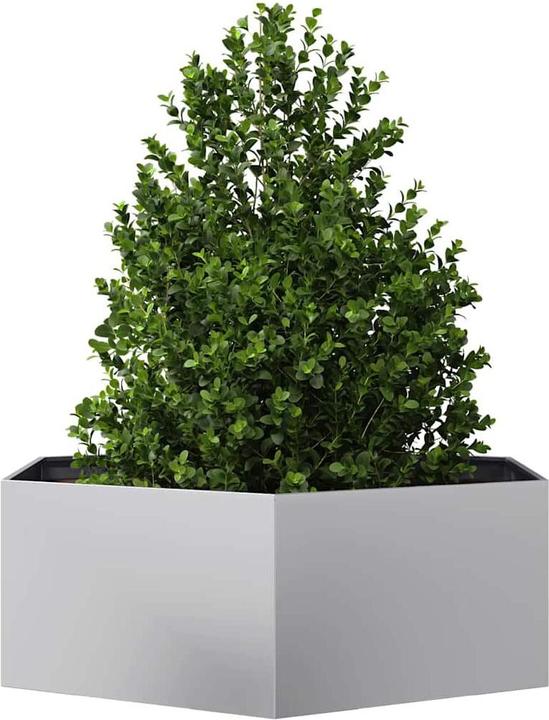 Produktbild vidaXL Pflanzkübel