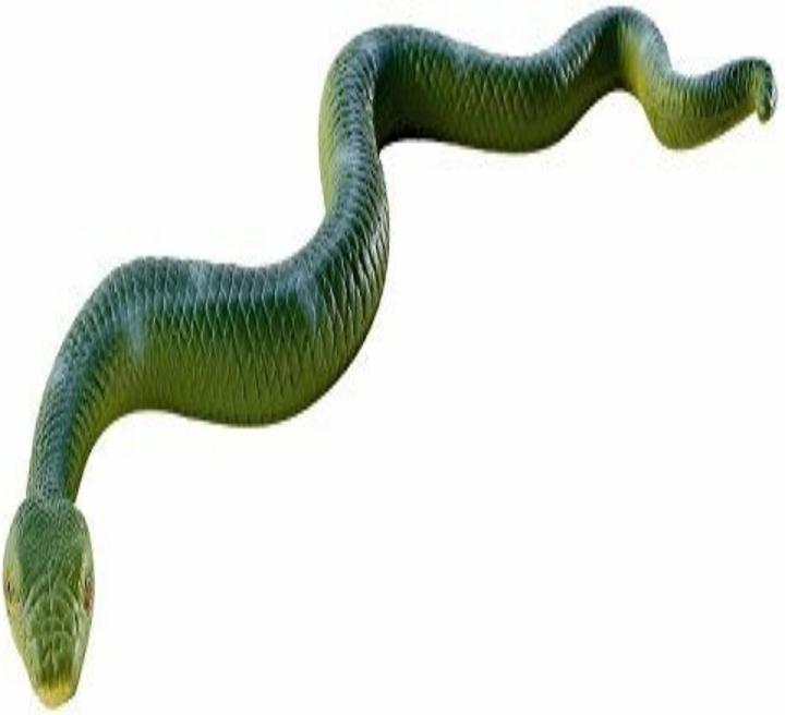 Image du produit Bullyland Boa Constrictor