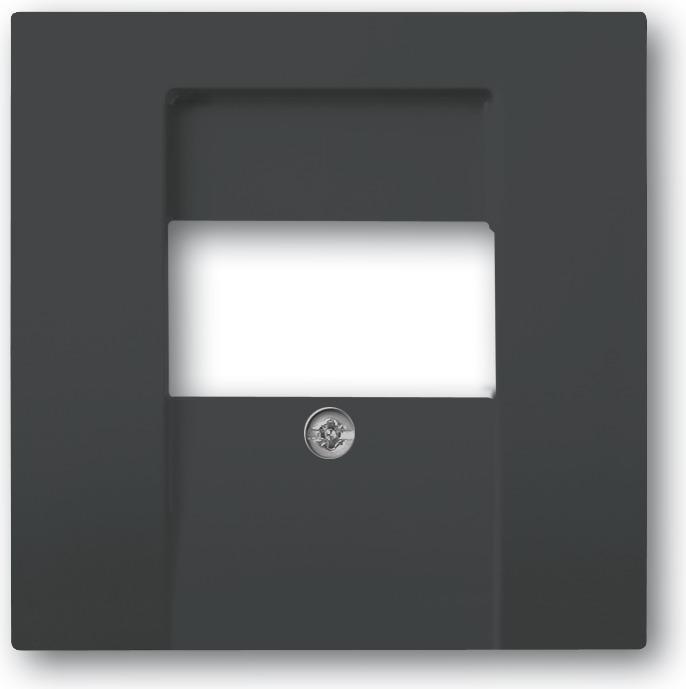 Actual product image Busch-Jaeger Central disk