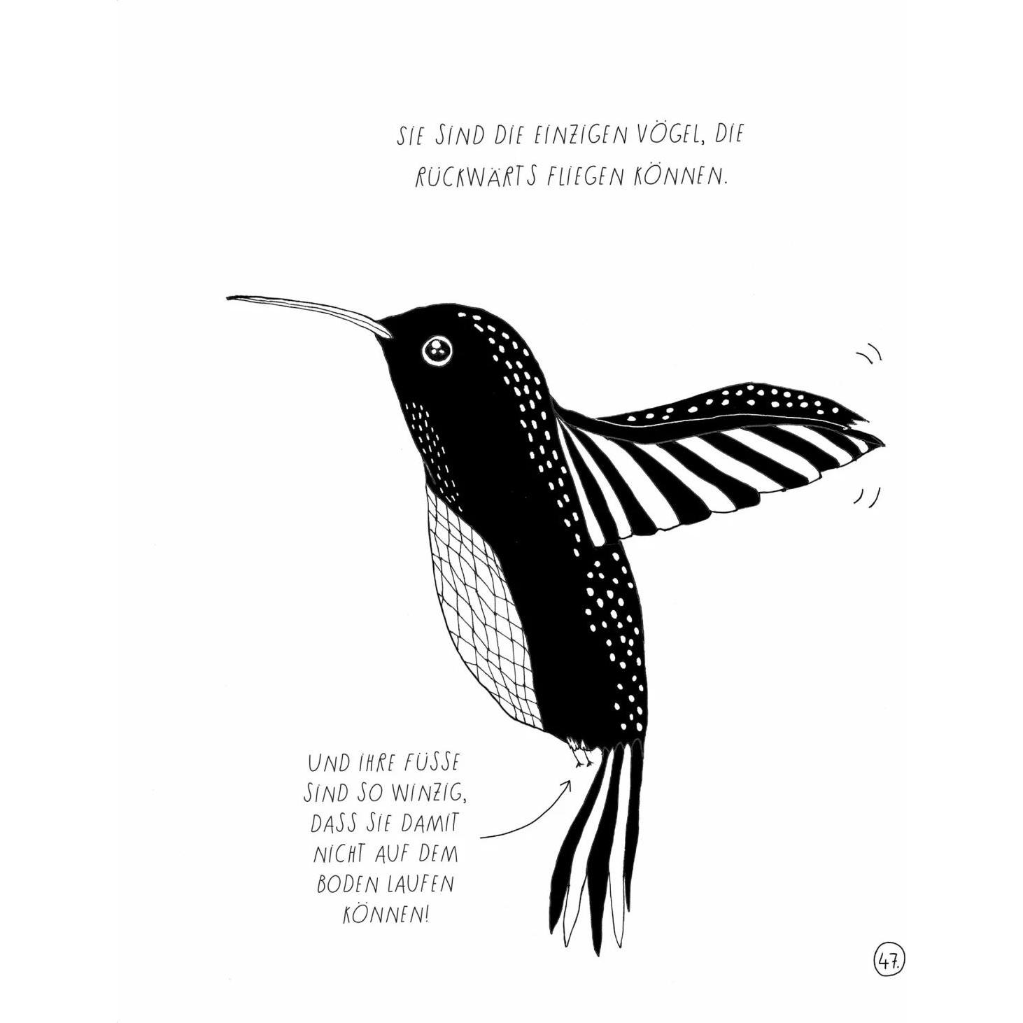 Pinguine sind kitzlig, Bienen schlafen nie, und keiner schwimmt so langsam wie das Seepferdchen, Narrativa di Maja Säfström