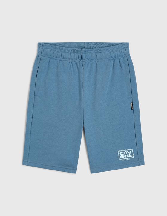 Image du produit O'Neill Logo Sweatshorts (164)
