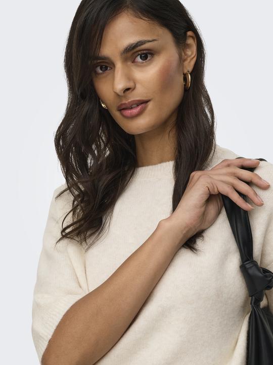 Produktbild JdY Jdychloe Life 3/4 On Pullover Knt Noos (M)