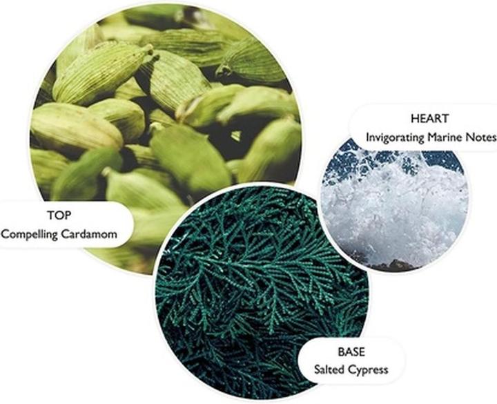 Produktbild Molton Brown Handlotion Coastal Cypress & Sea Fennel (300 ml)