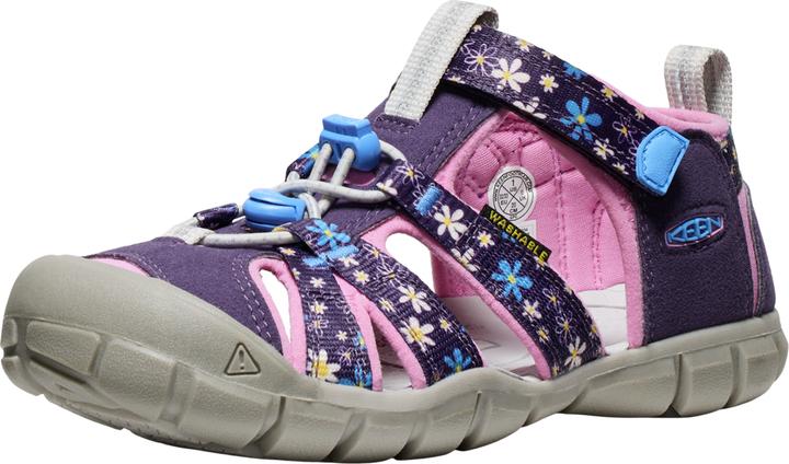 Bleu, daisiesmarina, Violet