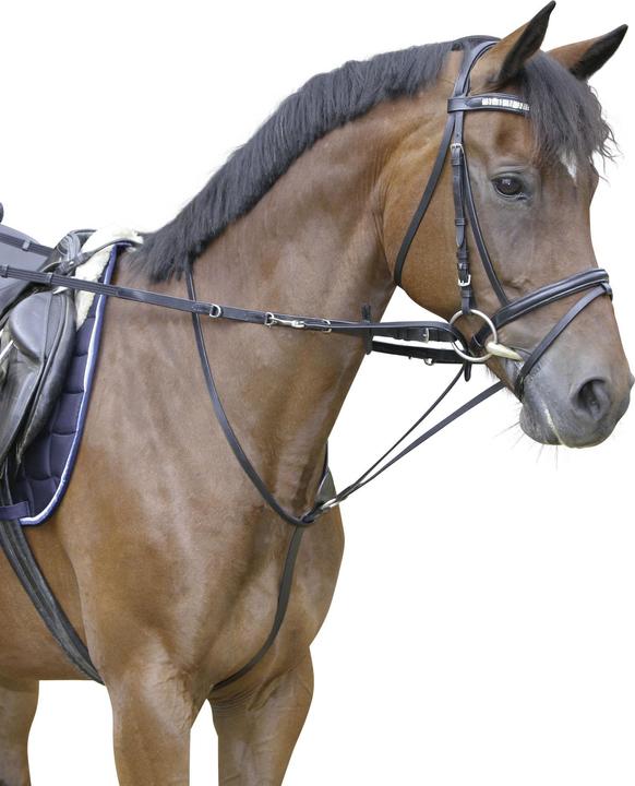 Actual product image Kerbl Thiedemann reins