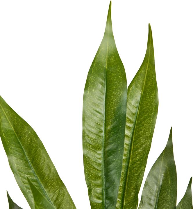 Produktbild Beliani Willow Tree (180 cm)
