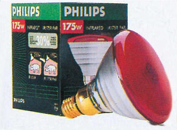 Actual product image Philips Infrared heat lamp (175 W)