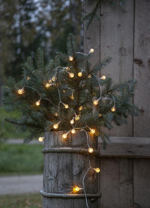 Produktbild Star Trading Berry (5 m)