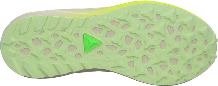 Actual product image ASICS Performance Fuji Lite 5 (40)