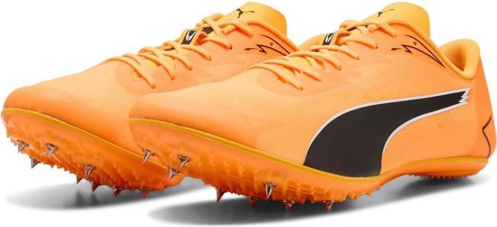 Image du produit Puma evoSPEED Brush 7 (38)