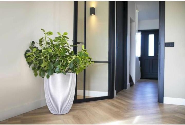 Produktbild Capi Tripp (46 x 58 cm)