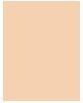 Actual product image Clarins Milky Boost 01 Milky Cream (03 Milky Cashew)