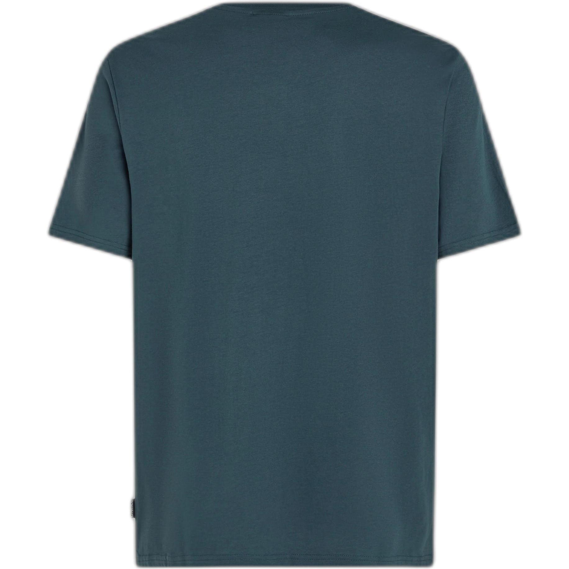 O'Neill, Herren, Shirt, t-hirt mall chet print, Grau, (S)