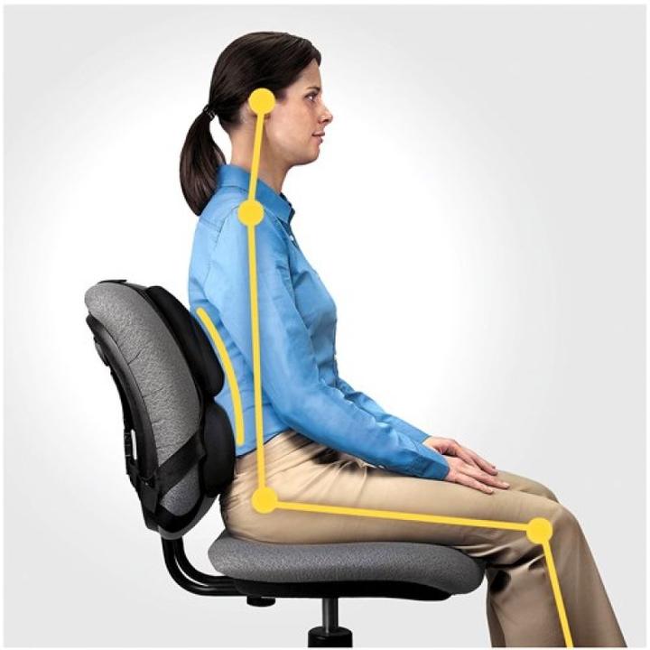 Immagine prodotto Fellowes Supporto per la schiena Professional, nero
