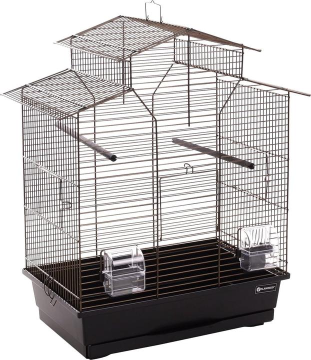 Immagine prodotto Flamingo Numfor 1 Bronze Black