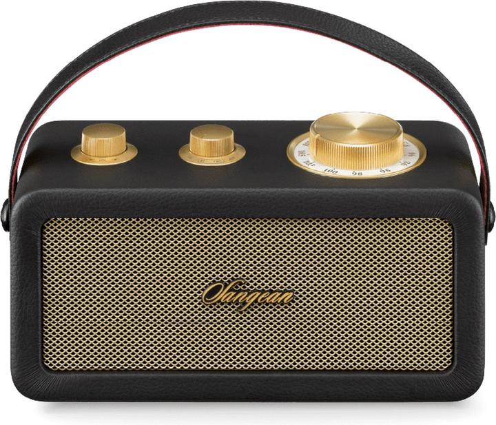 Sangean RA-101 Akku-Radio FM Bluetooth®, AUX wiederaufladbar Schwarz, Gold (FM, Bluetooth)