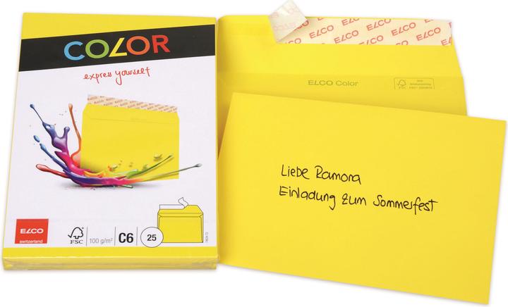 Immagine prodotto Elco Colore (C6, 25 x)