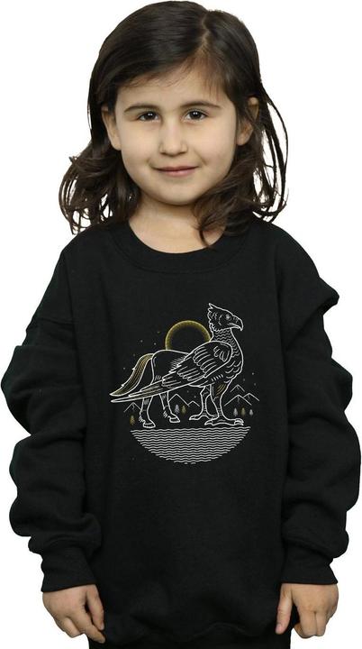 Produktbild Buckbeak Line Art Sweatshirt Mädchen (152, 158)