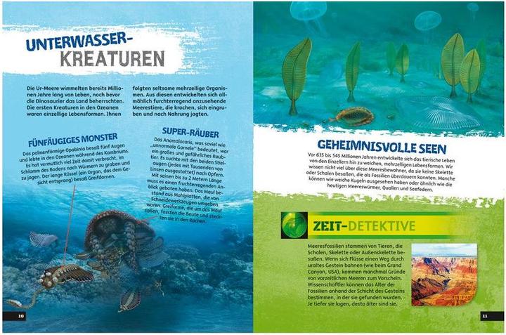 Produktbild Das gefährliche Dinosaurier-Buch (Deutsch, Anke Fischer, Liz Miles, 2015)