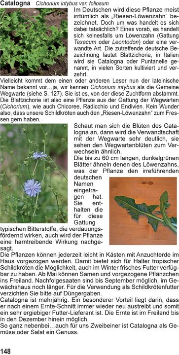 Produktbild Landschildkröten-Futterpflanzen (Deutsch, Ricarda Schramm, 2017)