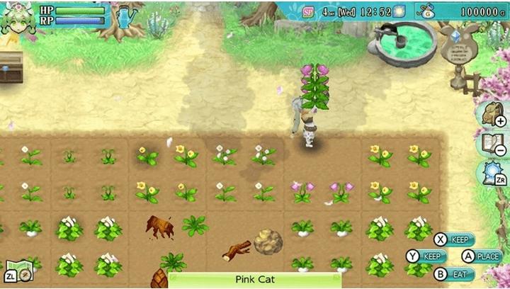 Image du produit Marvelous Rune Factory 4 Special (Switch, Multilingue)
