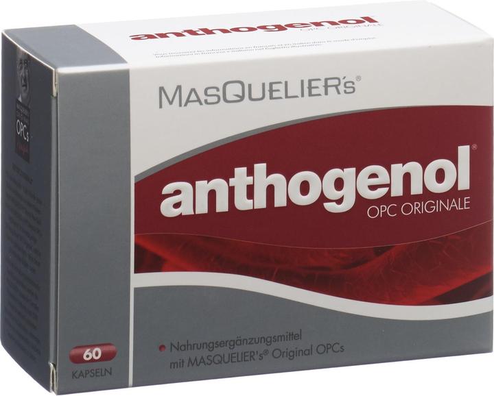 Produktbild Masqueliers Anthogenol OPC Originale (60 Stück, Kapseln, 52 g)